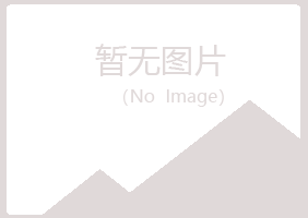 太康县山柏机械有限公司